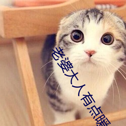 老婆大人有点暖