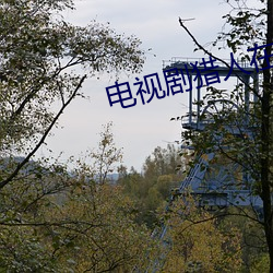 電視劇獵人在線觀看免費完