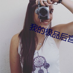 我的極品後宮