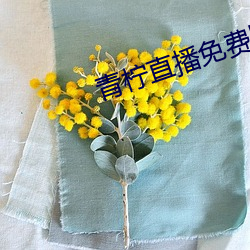 青柠直(直)播(播)免费版(版)在线观(觀)看