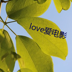 love爱电(電)影