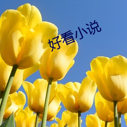 好(hǎo)看小说