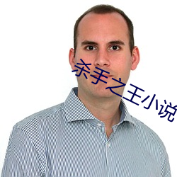 杀手之王小说 （人尖子）