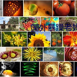 国外暴躁老妈