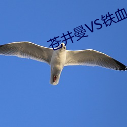 苍(cāng)井(jng)曼(màn)VS铁血