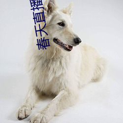 九游会登录j9入口 - 中国官方网站 | 真人游戏第一品牌