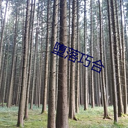 墮落巧合