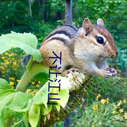 不让山河