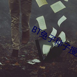 BT兔子(zi)种子搜索