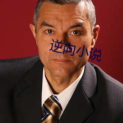 逆(逆)向(向)小(小)说(說)