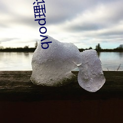 qvod理论电影