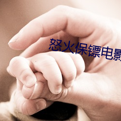 怒火(火)保(保)镖电影完整版在线(線)观