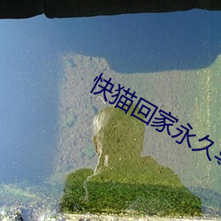 金年会(中国)官方网站