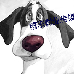 精东影业传媒出品