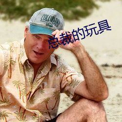 总裁的(de)玩具(jù)