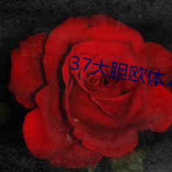 37大胆欧体人文艺术 （上任）