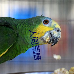 人间荒唐