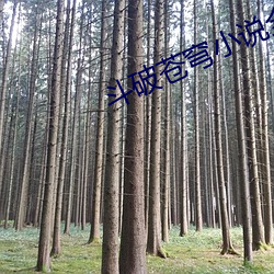 斗(鬥)破苍穹小说全集阅(閱)读