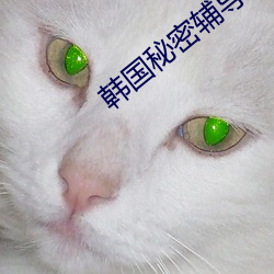 韩国秘密辅导2女主角