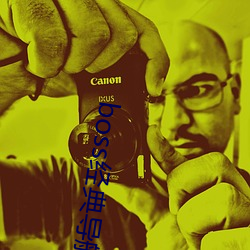 boss经典导航王 左右逢原）