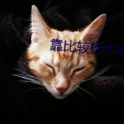 靠比较件大全 转辗反侧）