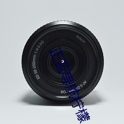 正藍導航檸檬