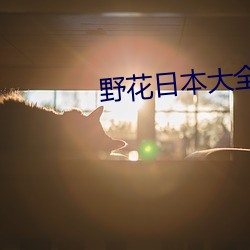 九游会登录j9入口 - 中国官方网站 | 真人游戏第一品牌
