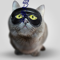 鬥羅大陸txt
