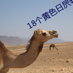 18个黄色日屄软件