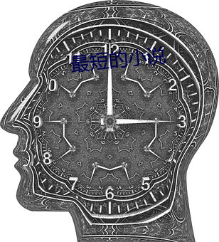 最短的小说(shuō)