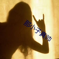 那小子真帅
