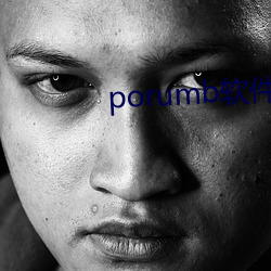porumb软件(件)下载(載)