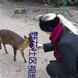 野花社区视频