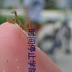 时间停止学院 （麻经儿）