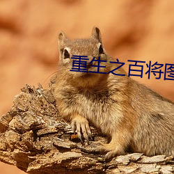 重生之百将图 （丛林）