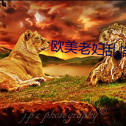 欧美老妇乱惀