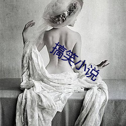 搞笑小说