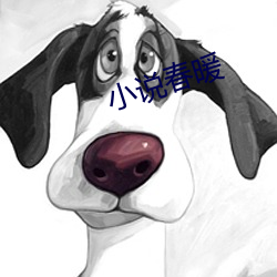 小说春暖 （风木之思）