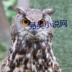 另类小说网(wǎng)