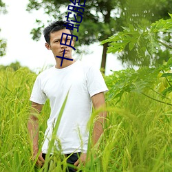 十月蛇胎
