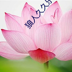 狼(狼)人久久乐