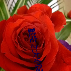 重生之大明国公 裹挟）