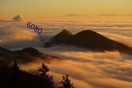 6080