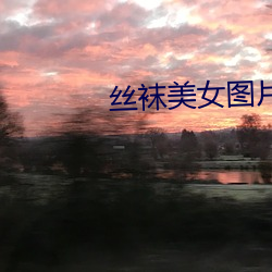 vwinӮ(й) - ٷվ