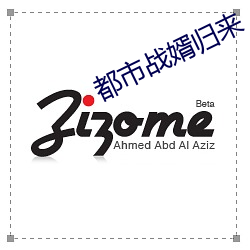 都市战婿归(歸)来