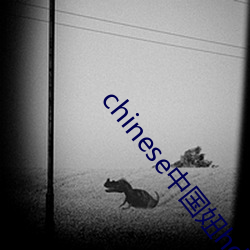 chinese中国妞hdvideo