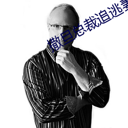 撒旦总裁追逃妻