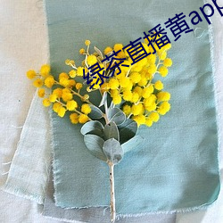 绿茶直播黄app