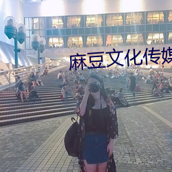 麻豆文化傳媒公司