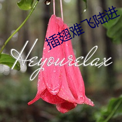 插翅难(難)飞陆进(進)